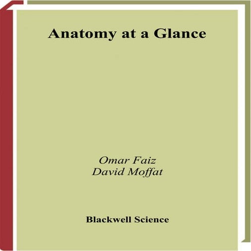 Anatomy ata glance