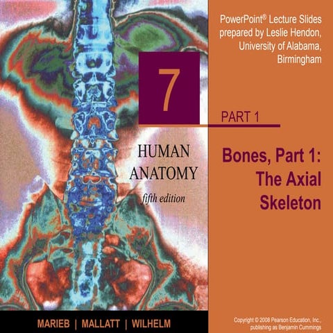 anatomy_axial_skeleton_pearson.ppt