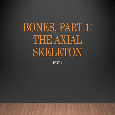 anatomy axial skeleton VAN.ppt
