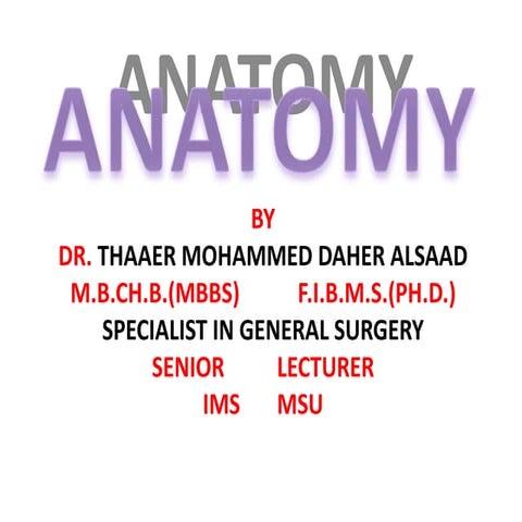 Anatomy axilla 25112010