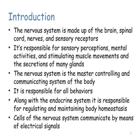 anatomy central nervous system for all .pptx