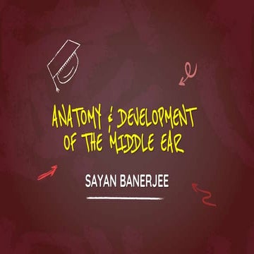 Anatomy & development of the middle ear