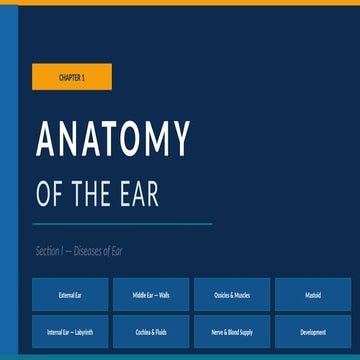 Artificial Intelligence in oral radiology .pptx