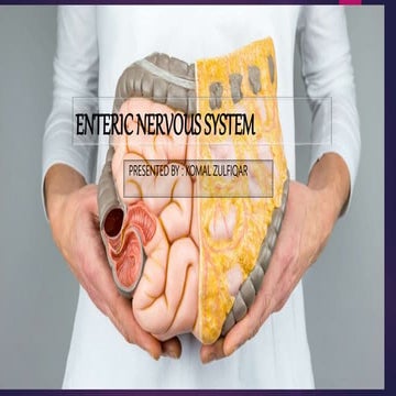 enteric nervous system ppt