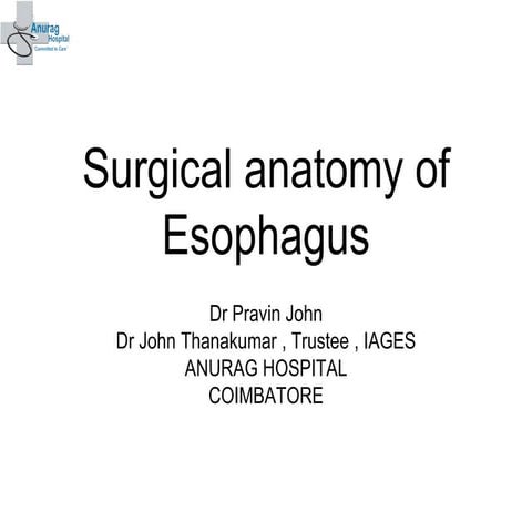 Surgical Anatomy of Esophagus