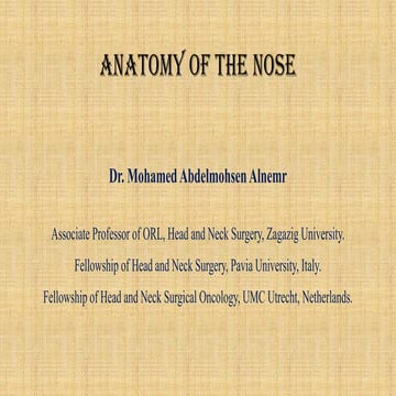 anatomy, examination of the nose for undergraduates.pptx