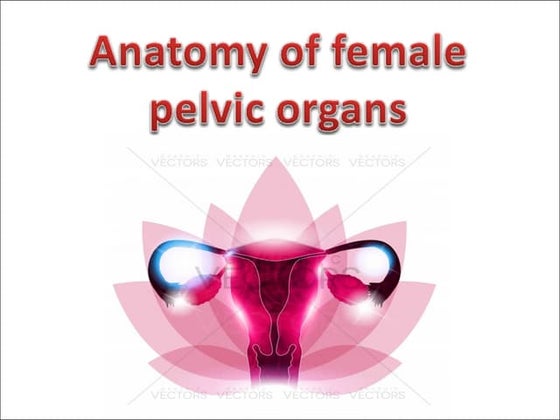 Histology of ovaries | PPTX | Reproductive Health | Diseases and Conditions