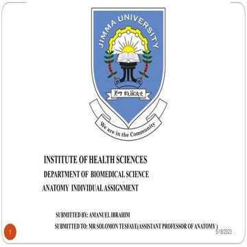 Anatomy final Asst.pptx