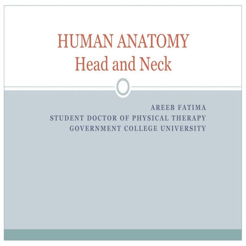 Anatomy head and neck (norma occipitalis) pptx