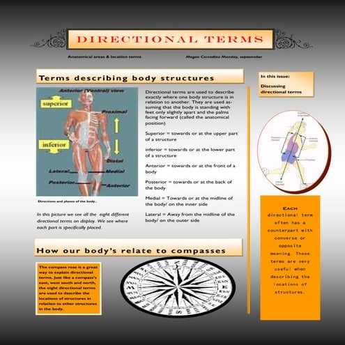 Anatomy introduction newsletter12