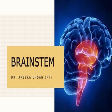 Anatomy of the brainstem.pptx/ cerebrum, pons and medulla oblongata parts and...