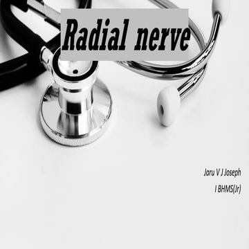 Anatomy of Radial nerve .pptx (I  BHMS))
