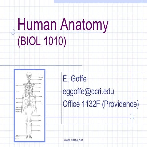 Anatomy lecture