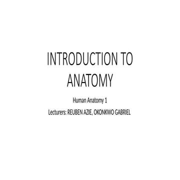 Innerbody | PDF