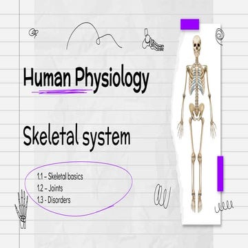 Anatomy Lesson_ Realistic Skeleton for Education by Slidesgo (2).pptx