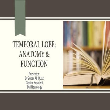 Anatomy & Function of Temporal lobe