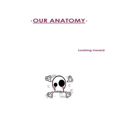 Anatomy Manual