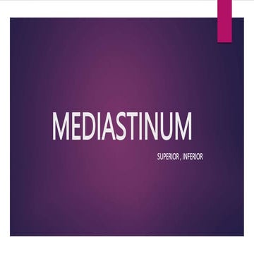 Mediastium anatomy | PPTX