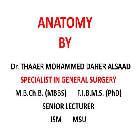 Anatomy nazeen batch cranial nerves