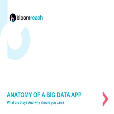 Anatomy of a Big Data Application (BDA)