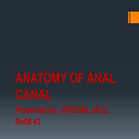 Anatomy of anal canal