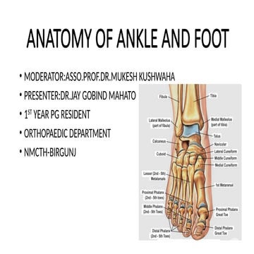 Anatomy of Joints of Foot.pptx its associated bones and ligaments | PPTX