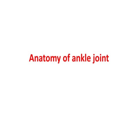 Anatomy of ankle joint