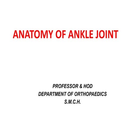 Anatomy of ankle joint