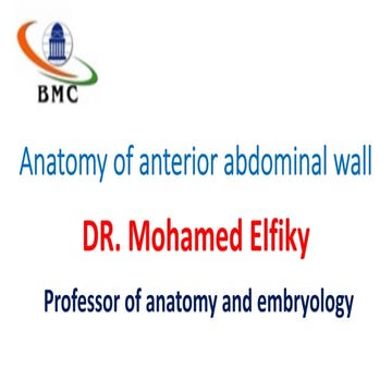 Anatomy of anterior abdominal wall