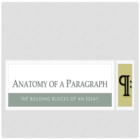 Anatomy of a paragraph