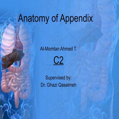 Anatomy of appendix