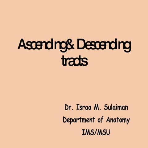 Anatomy of ascending and descending tracts