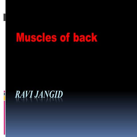 Anatomy of back muscle