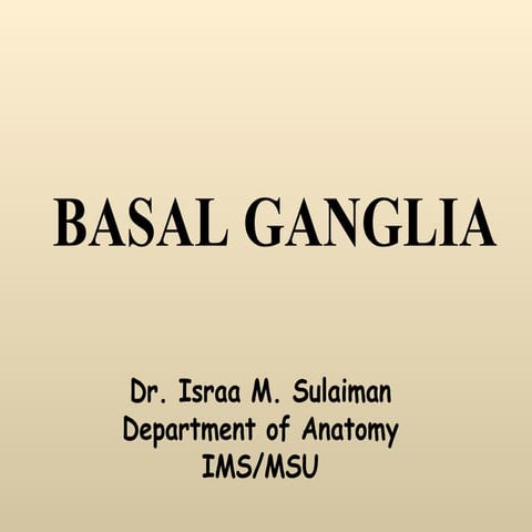 Anatomy of basal ganglia
