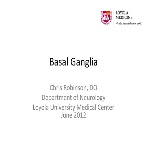 Anatomy of basal ganglia