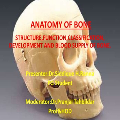 Anatomy of bone..latest