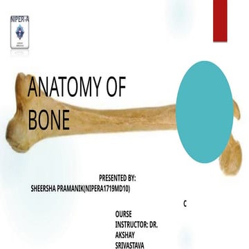 anatomyofbone-180423101522-181223174359 (1).pptx