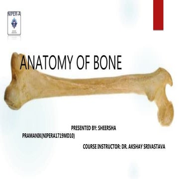 "Anatomy and Physiology of Bone"- Sheersha Pramanik