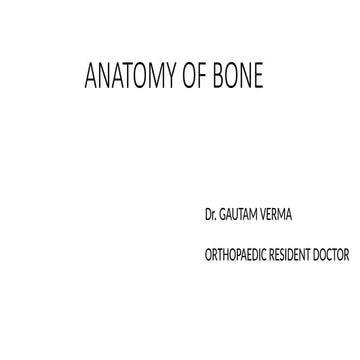 ANATOMY OF BONE , types of bone , blood supply of bone