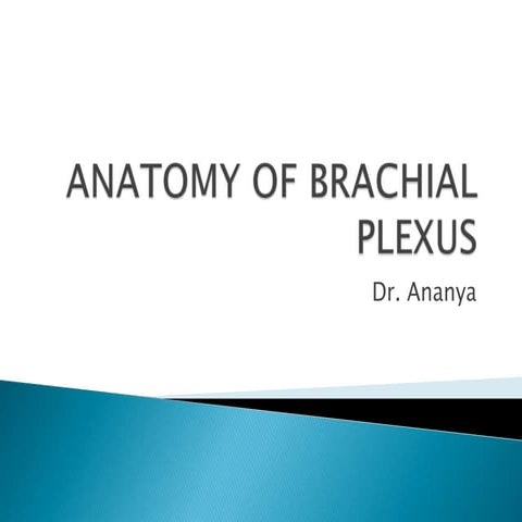 Anatomy of brachial plexus