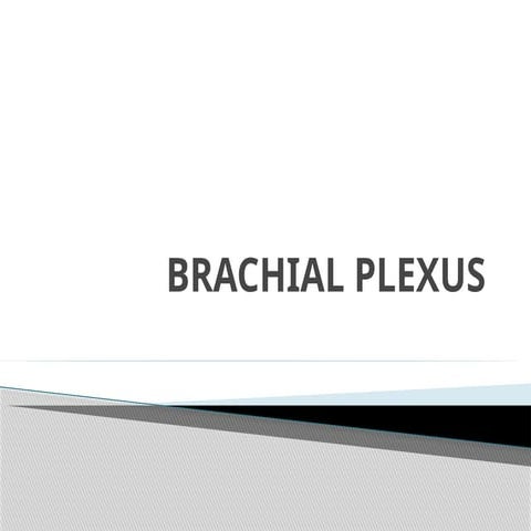 Brachial Plexus Anatomy and Nerves .pptx