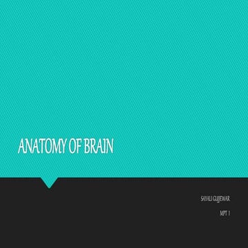 Anatomy of brain