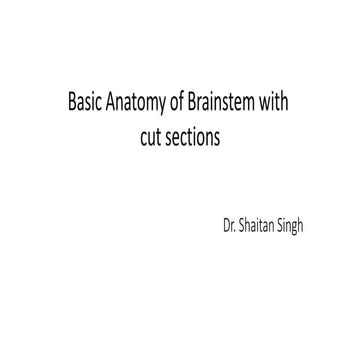 anatomy of brainstem and  related syndromes .pptx