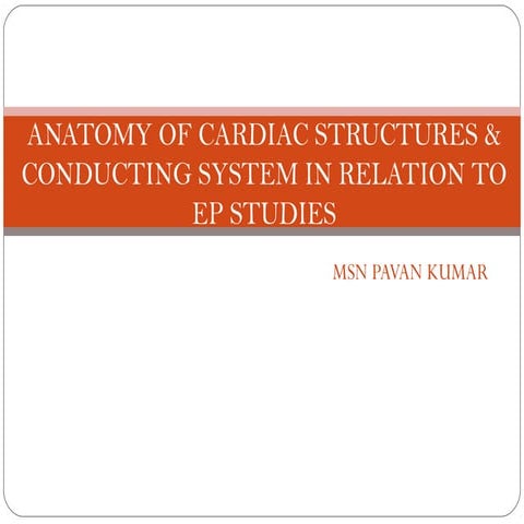 Anatomy of cardiac structures & conducting system in