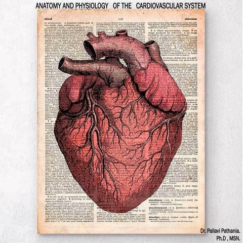 Anatomy  and Physiology of cardiac system: The cardiovascular system, also kn...