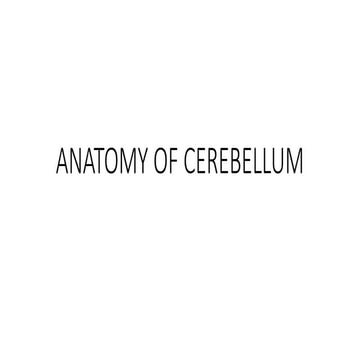 ANATOMY OF CEREBELLUM and its important.pptx