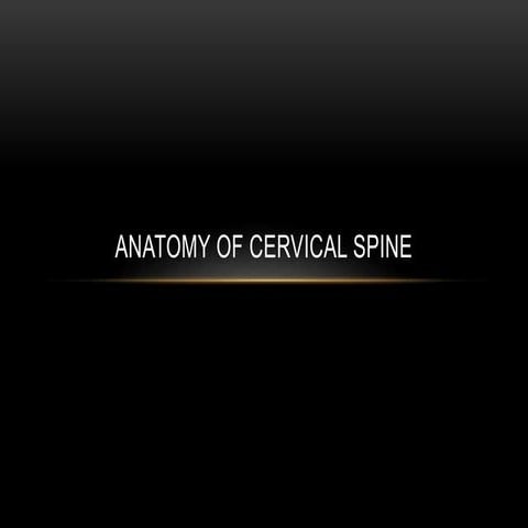 Anatomy of cervical spine