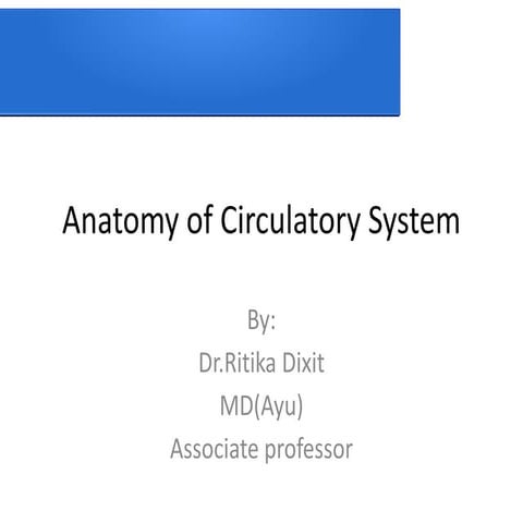 Anatomy of circulatory system