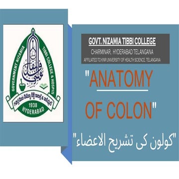 Colon anatomy | PPTX