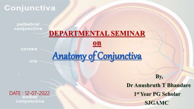 Anatomy of the conjunctiva | PPTX